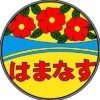 はまなす